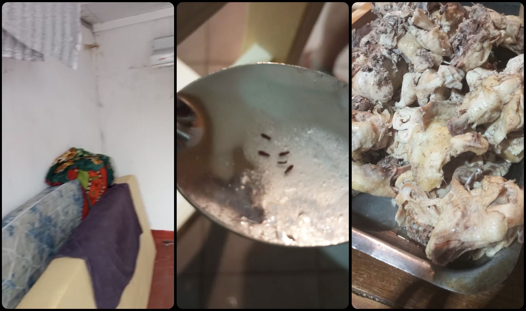 悟空体育体育官网首页登录入口。｜体育场地阿根廷足球青训黑幕：梦想工厂背后的残酷体系